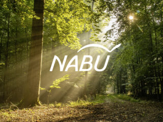 Nabu